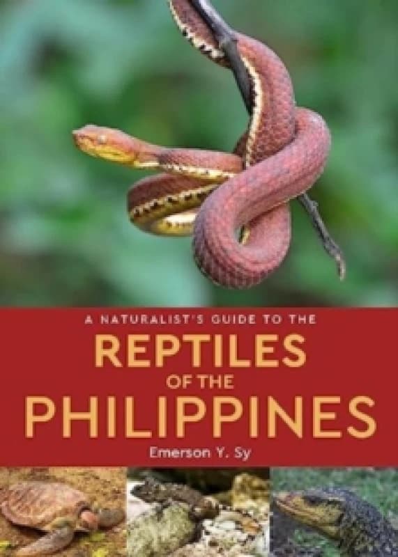 A Naturalist's Guide to the Reptiles of the Philippines Paperback / softback