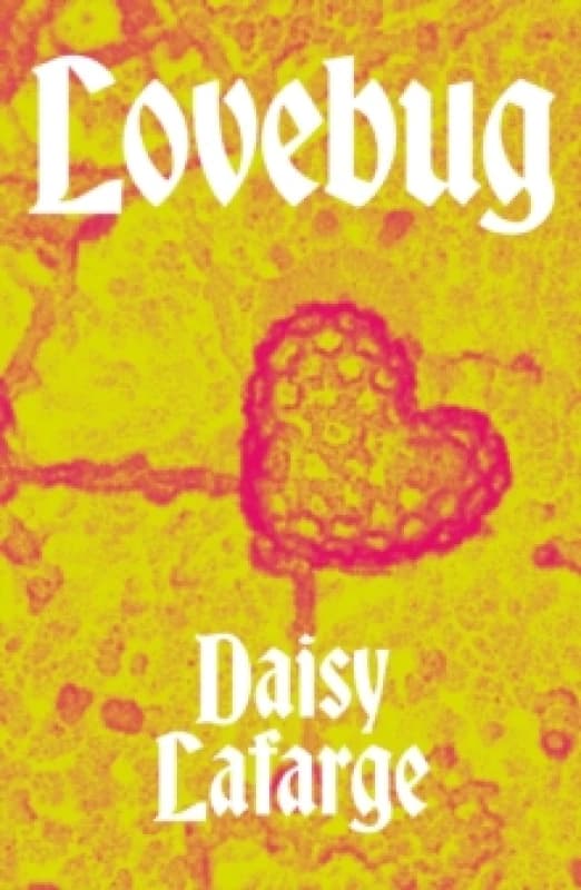 Lovebug Paperback / softback