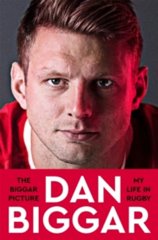 The Biggar Picture. Paperback. By Dan Biggar Books