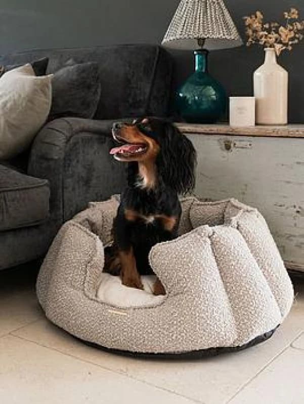 Lords and Labradors High Walled Bed w/Inner Mink Boucle S, Brown 29749