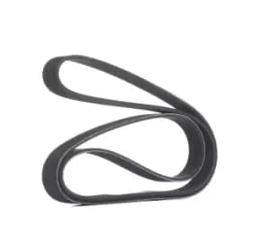 RIDEX V-ribbed belt 305P0147 Serpentine belt,Auxiliary belt VW,AUDI,BMW,Golf V Schragheck (1K1),TOURAN (1T1, 1T2),GOLF VI (5K1)