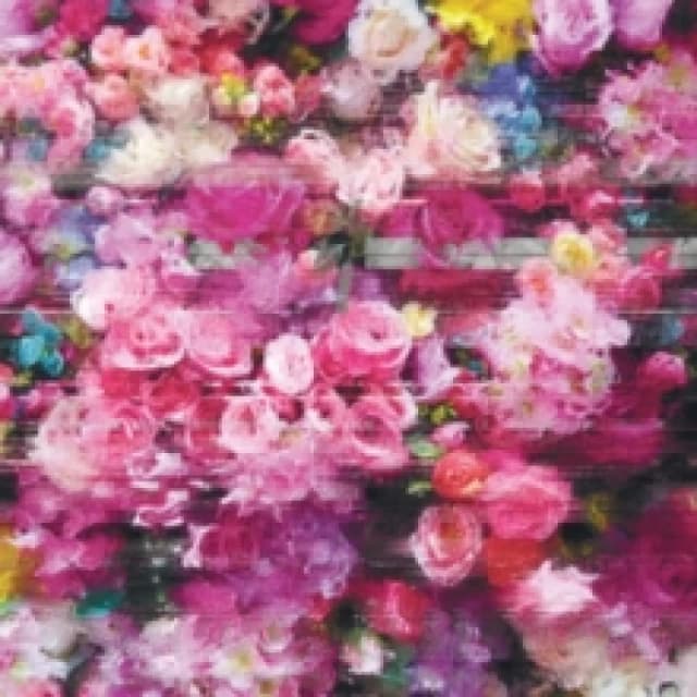 Systeme CD / Album Digipak