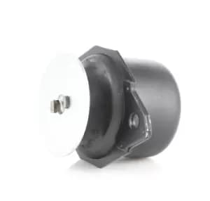 RIDEX Engine mount VW,SEAT 247E0013 357199402A,357199402C,3A0199402 357199402A,357199402C,3A0199402