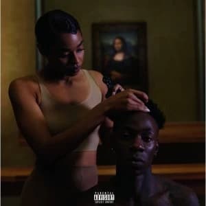 The Carters - Everything Is Love CD