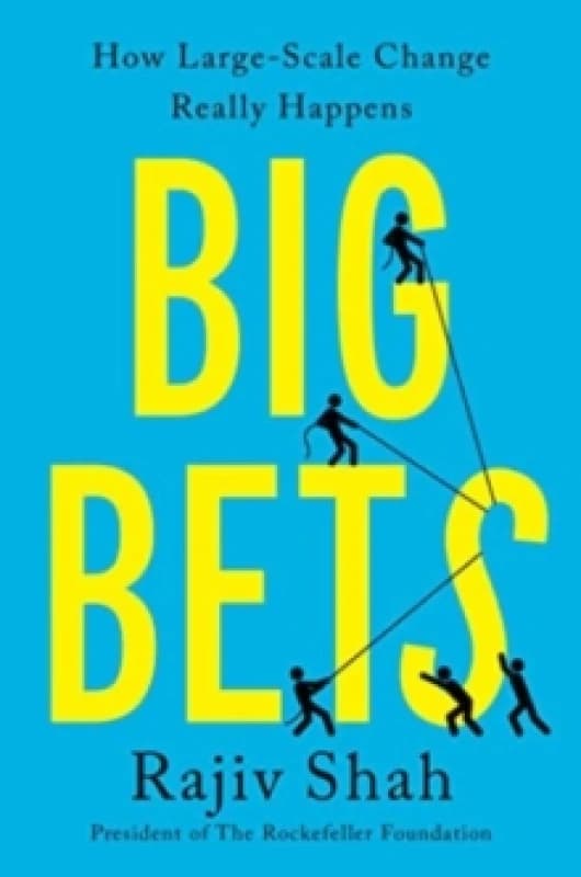 Big Bets : How Large-Scale Change Really Happens Hardback
