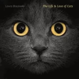 life and love of cats
