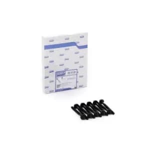 AJUSA Cylinder Head Bolt Kit Male Torx 81022300 Bolt Kit, cylinder head RENAULT,PEUGEOT,NISSAN,TWINGO I (C06_),CLIO II (BB0/1/2_, CB0/1/2_)