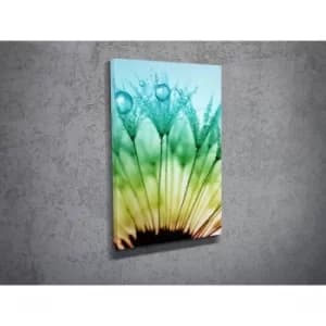 DC031 Multicolor Decorative Canvas Painting