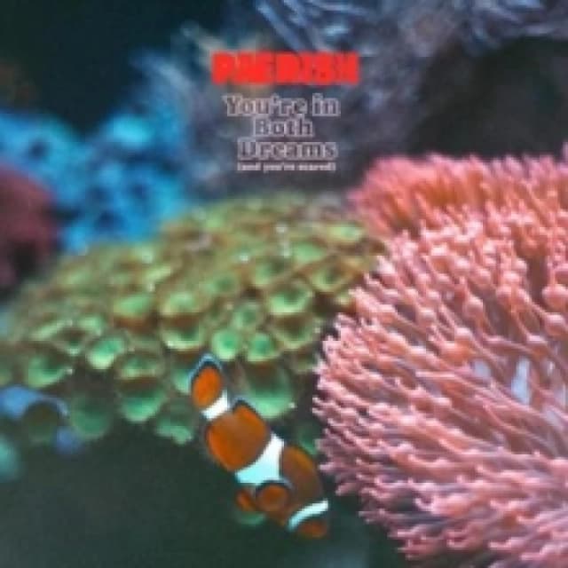 You're in Both Dreams (And You're Scared) CD / Album