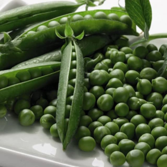 Thompson & Morgan Pea Boogie 1 Seed Packet (250 Seeds)