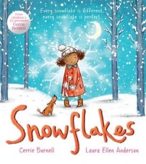 Snowflakes by Laura Ellen Anderson Book