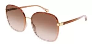 Chloe Sunglasses CH0031S 007