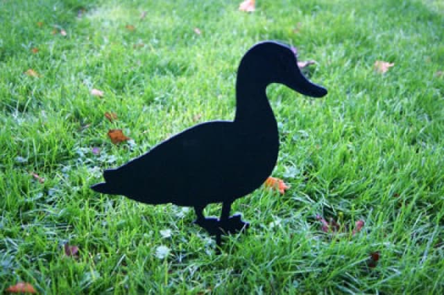 Poppy Forge Duck Facing - Hand Made By Traditional Forge Powder Coated Steel Garden Ornament - Steel - W17.8 X H30.5cm - Black