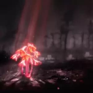 Enter Shikari A kiss for the whole world CD multicolor