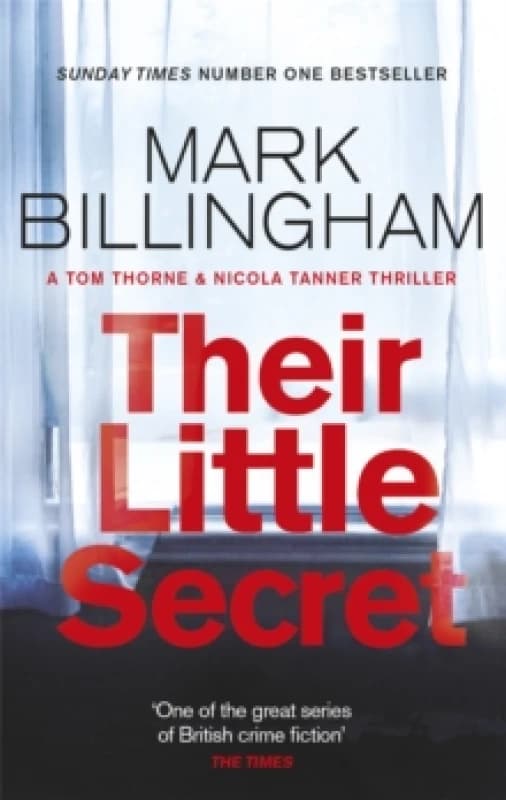 Their Little Secret Paperback / softback