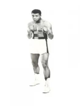 More Than a Champion by Jan Philipp Reemtsma Paperback