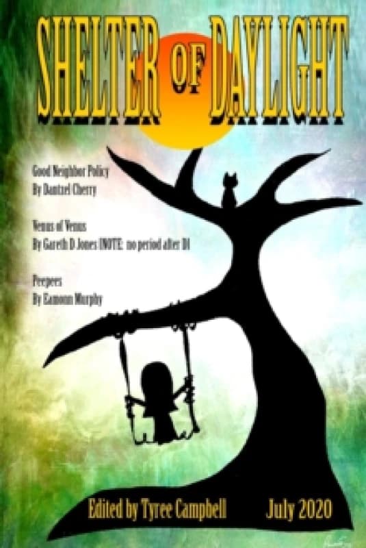 Shelter of Daylight June 2020 Paperback / softback