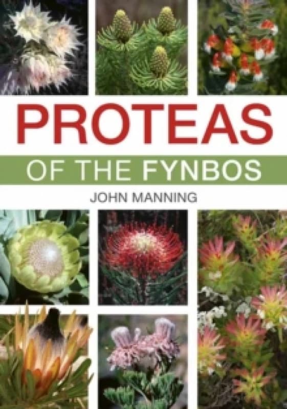 Proteas of the Fynbos Paperback / softback