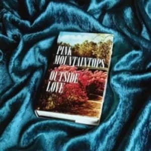 Outside Love by The Pink Mountaintops CD Album