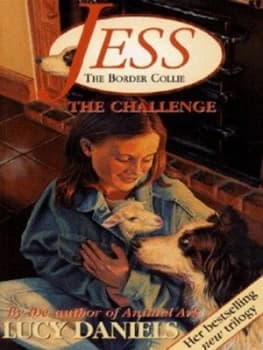 The Challenge by Lucy Daniels Paperback