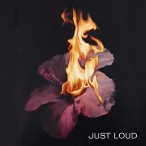 Just Loud by Just Loud Vinyl Album