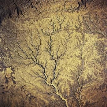 Passion - Sources by Various Artists Vinyl Album