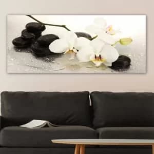 YTY187362956_50120 Multicolor Decorative Canvas Painting