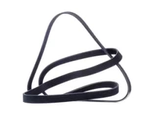 RIDEX V-ribbed belt VW,MERCEDES-BENZ,TOYOTA 305P0128 53032380AD,53032380AE,53032125AB 1132953,2S6G6C301AA,04854033,04854033AB,4854033,4854033AB