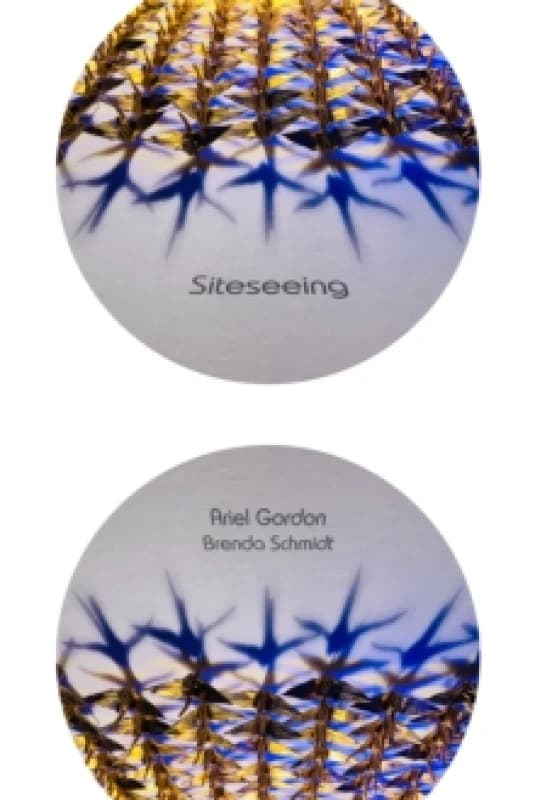 Siteseeing Paperback / softback