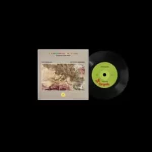 The Endless Coloured Ways The Songs of Nick Drake by Fontaines D.C./Let's Eat Grandma Vinyl Album
