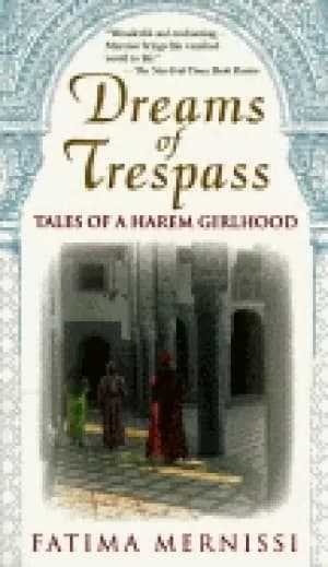 dreams of trespass tales of a harem girlhood