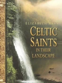 Celtic Saints in Their Landscape by Elizabeth Rees Hardback