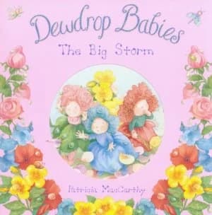 The Big Storm by Patricia Maccarthy Paperback