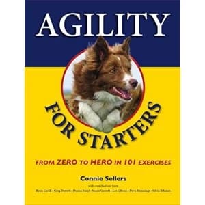 Agility for Starters: From Zero to Hero in 101 Exercises by Connie Sellers (Paperback, 2016)