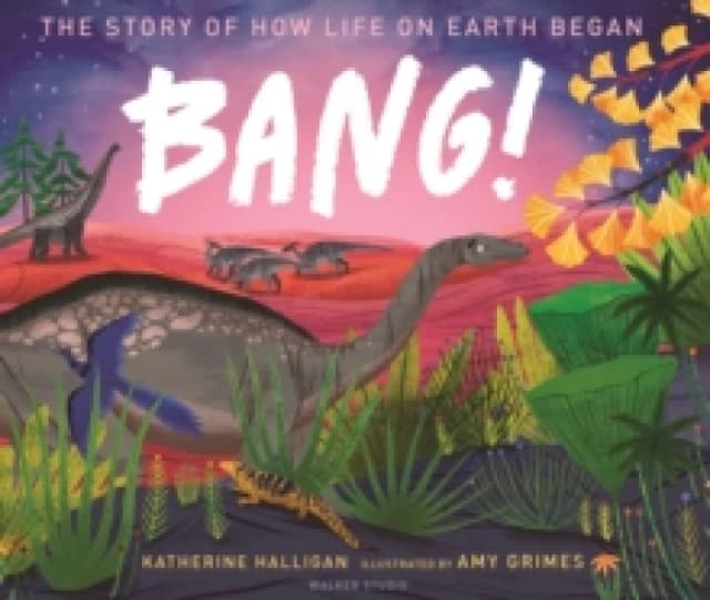 Katherine Halligan BANG! The Story of How Life on Earth Began Book Multi unisex