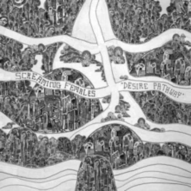 Desire pathway Vinyl