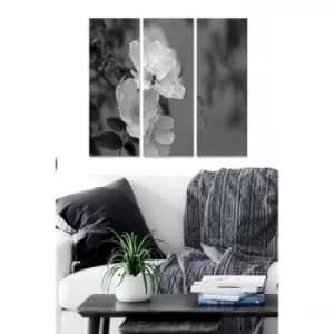 MDF659216 Multicolor Decorative MDF Painting (3 Pieces)