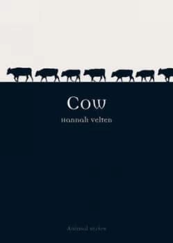 Cow by Hannah Velten Paperback