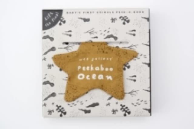Peekaboo Ocean : Volume 2 Rag book