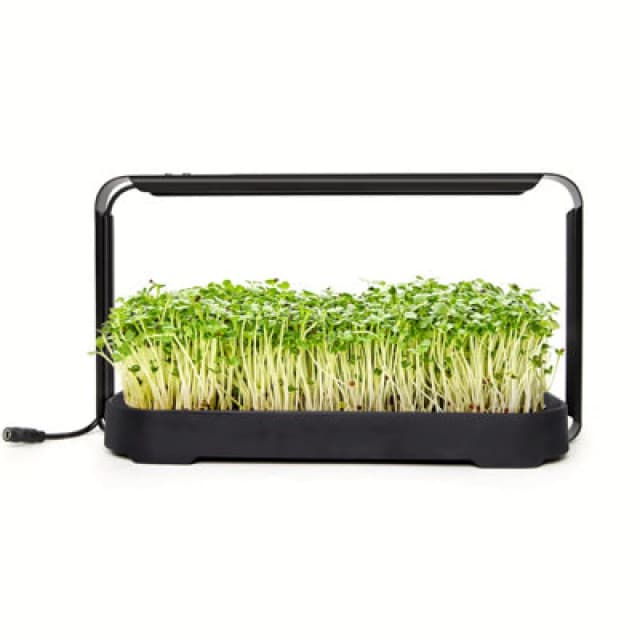 GardenSkill Hydroponics Growing System With Full Spectrum LED Light - Indoor Smart Garden Microgreen & Herb Germinator For Kitchen, Windowsill