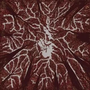 Crown Shyness by Trash Boat CD Album