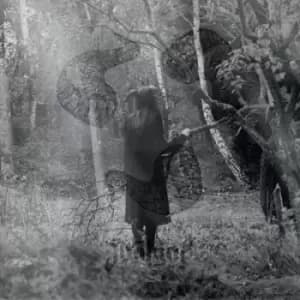 Not Ever by Soul Grip CD Album