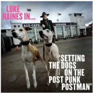 Luke Haines In Setting the Dogs On the Post-punk Postman by Luke Haines CD Album