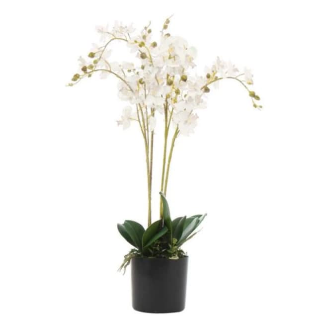 Leaf 60cm Artificial Luxury Orchid - Triple Stem - White Realistic Plant White unisex