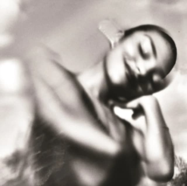 The Art of Loving Vinyl