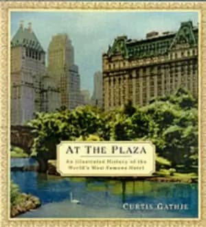 At the Plaza by Curtis Gathje