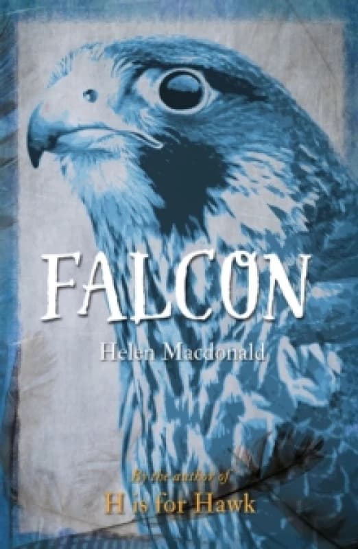 Falcon Paperback / softback