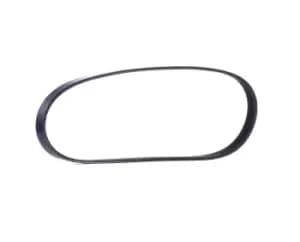 RIDEX V-ribbed belt 305P0025 Serpentine belt,Auxiliary belt BMW,FIAT,SUZUKI,3 Limousine (E46),5 Limousine (E39),3 Touring (E46),5 Touring (E39)