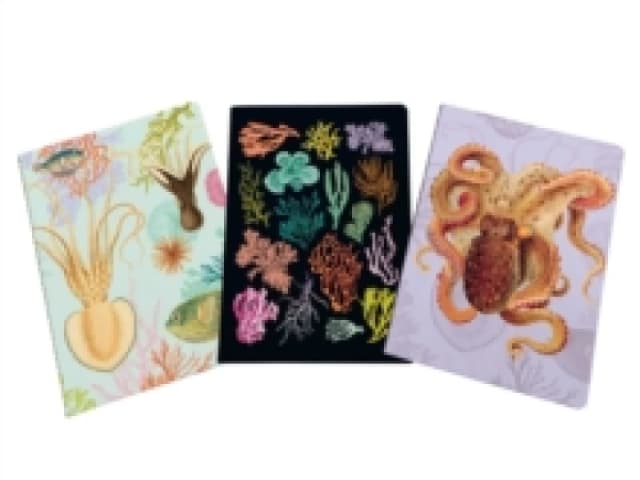 Art of Nature: Under the Sea Sewn Notebook Collection : Set of 3 Paperback / softback