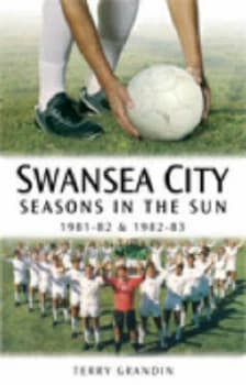 Swansea City by Terry Grandin Book